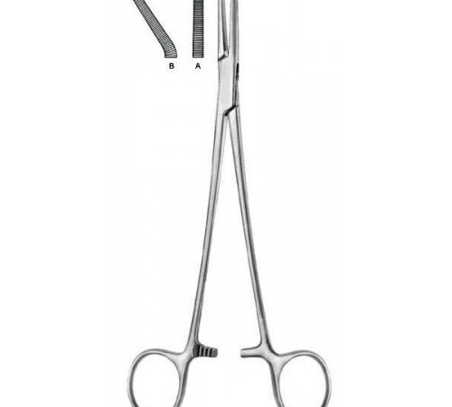 Phaneuf (SF-S-5-501-21)
