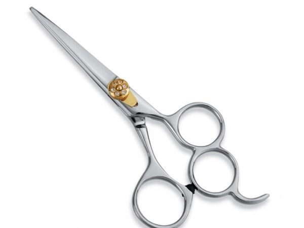 Hair Cutting & Thinning Scissors(HCTS0019)