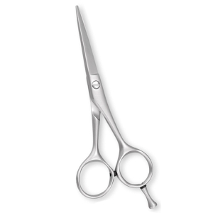 Professional Barber Scissors(PBS0012)