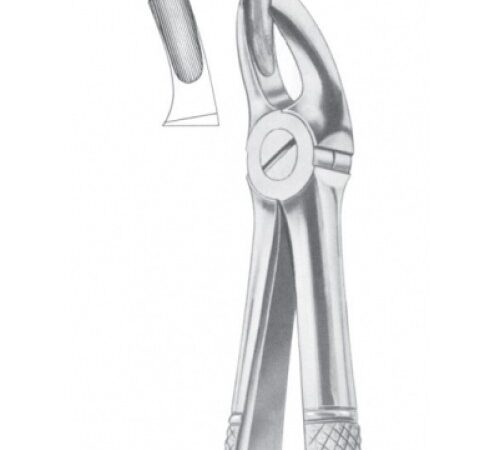 FIG. 18 UPPER MOLARS, LEFT (1012)