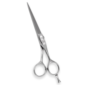 Professional Barber Scissors(PBS0022)