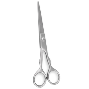Hair Cutting Scissors(HCS009)