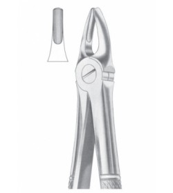 Fig.2 Upper Laterals & Canines (1004)