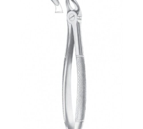 FIG. 20 UPPER THIRD MOLARS (1016)