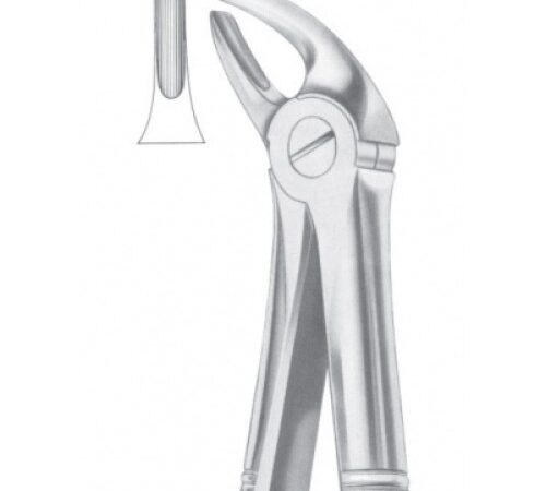 FIG. 4 UPPER INCISORS & CANINES(1006)