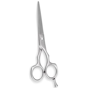 Hair Cutting Scissors(HCS005)