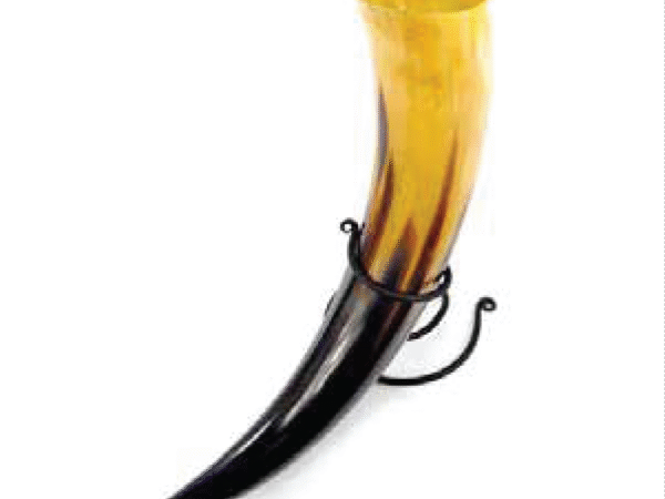 Viking Drinking Horn