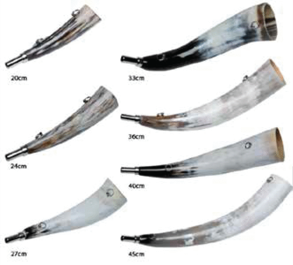 Viking Drinking Horn