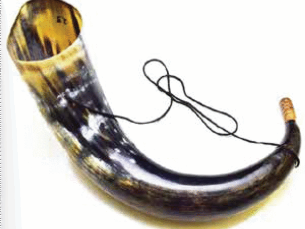 Viking Drinking Horn