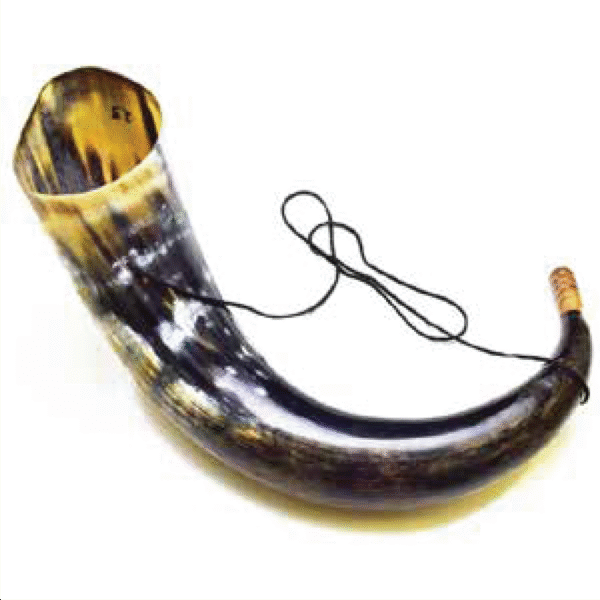 Viking Drinking Horn