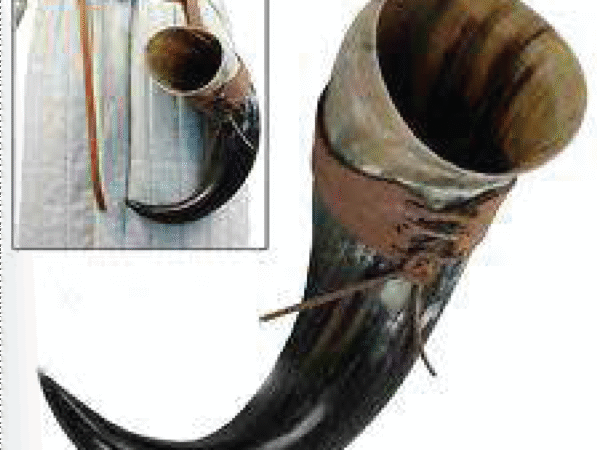 Viking Drinking Horn