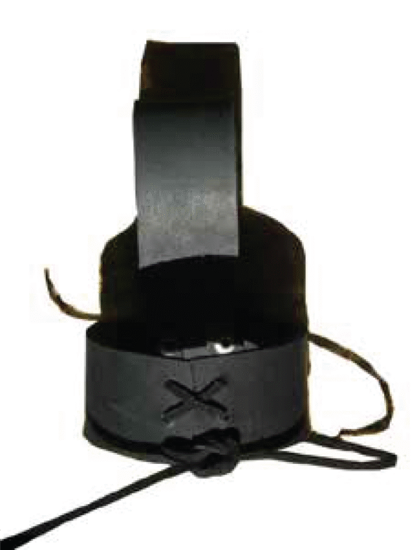 Viking Drinking Horn