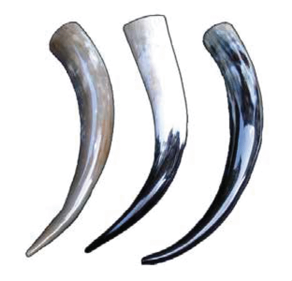 Viking Drinking Horn