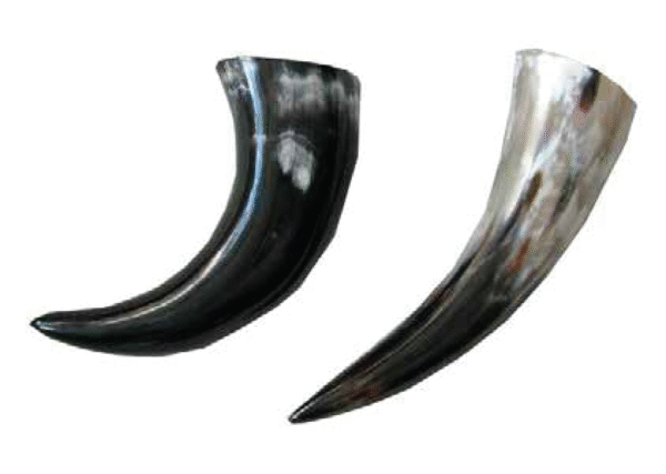 Viking Drinking Horn