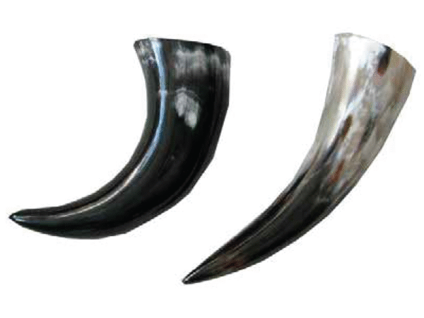 Viking Drinking Horn