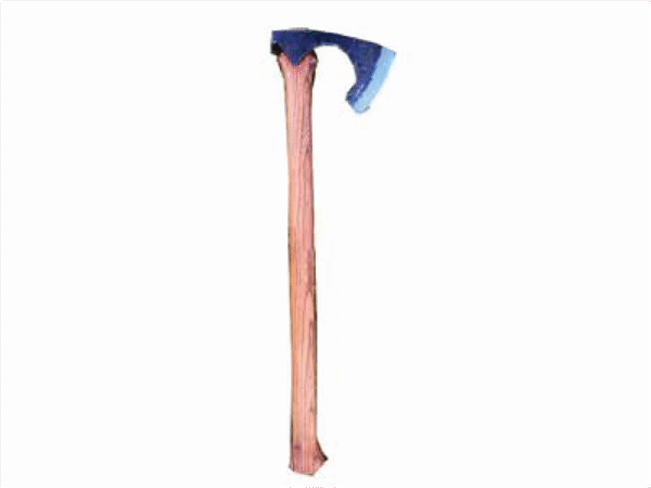 Viking AXE
