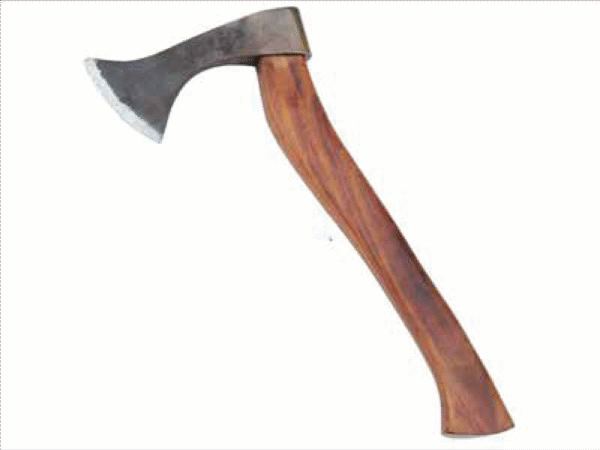 Viking AXE