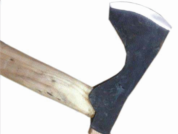 Viking AXE