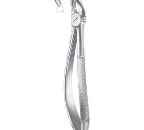 FIG. 17 UPPER MOLARS, RIGHT (1011)