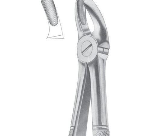 FIG. 18B UPPER MOLARS (1014)