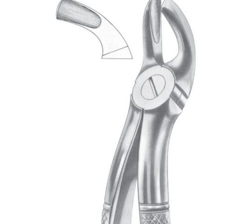 FIG. 19 UPPER THIRD MOLARS (1015)