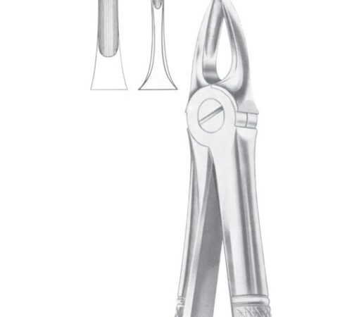 FIG. 3 UPPER INCISORS & CANINES (1005)