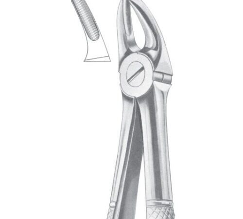 FIG. 7 UPPER PREMOLARS (1007)