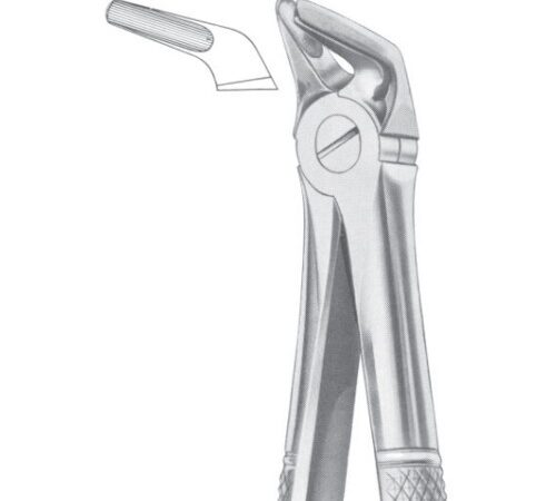 FIG. 8 LOWER PREMOLARS (1008)