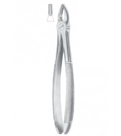 Fig.1 Upper Centrals & Canines (1003)