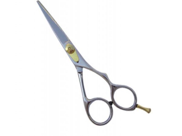 Professional Hair Cutting Scissors (0113)