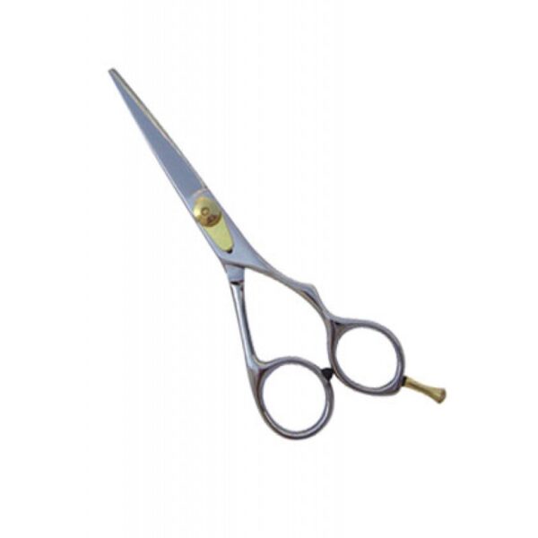 Professional Hair Cutting Scissors (0113)