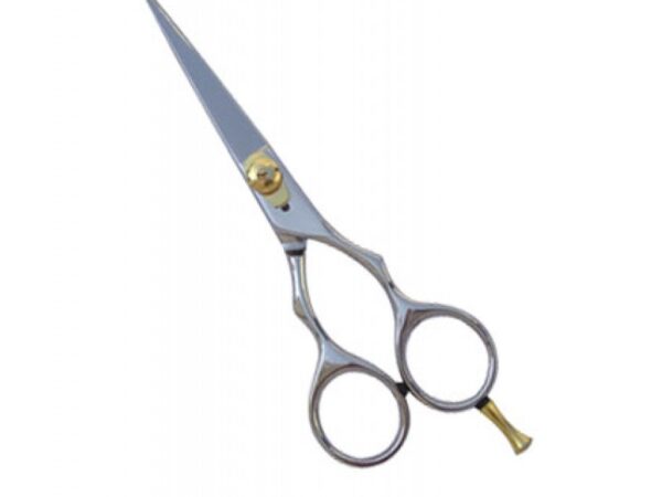 Professional Hair Cutting Scissors (0112)