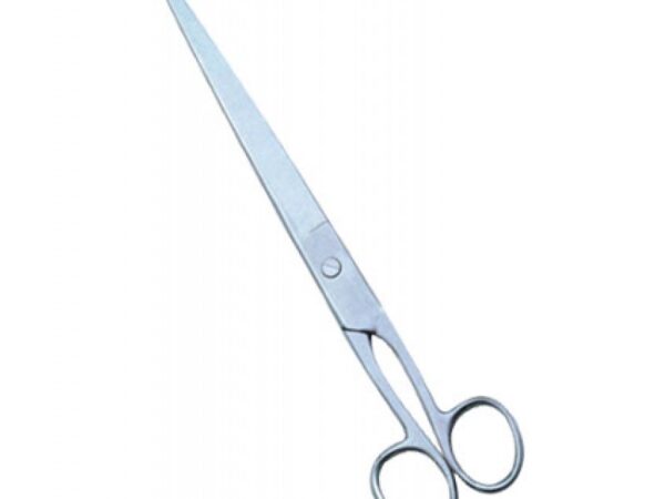 Paper Cutting Scissors (1602)