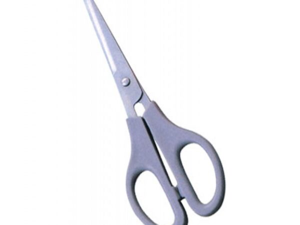 Plastic Handle Scissors (1701)