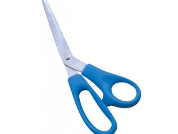 Light Weight Plastic Handle (1702)