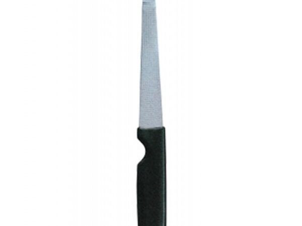 Nail File With Plastic Handle (2111)