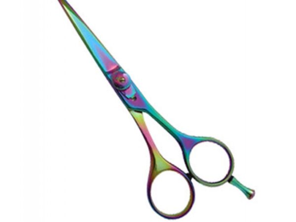 Professional Hair Cutting Scissor (2554)