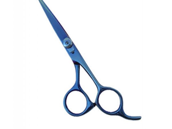 Professional Hair Cutting Scissor (2556)