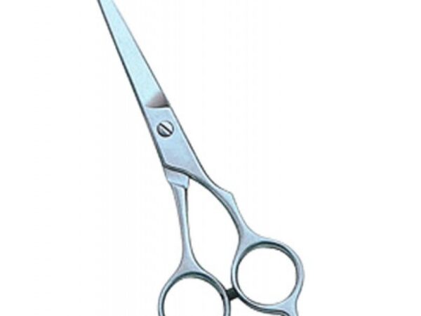 Barber & Dressing Scissors (1107)