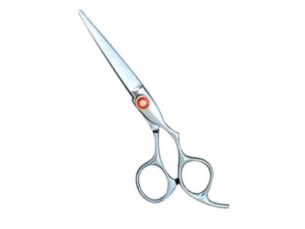 Professional Hair Cutting Scissors (0110)