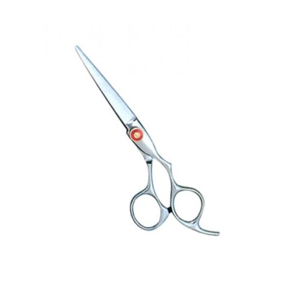 Professional Hair Cutting Scissors (0110)