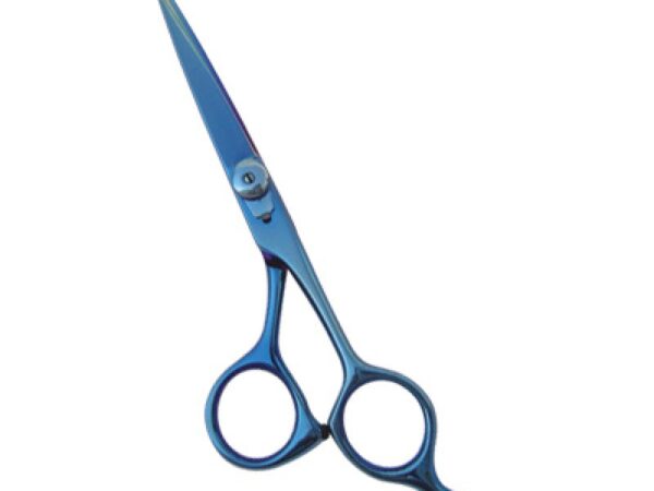 Professional Hair Cutting Scissors (0101)