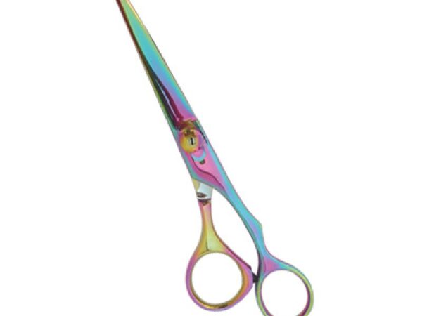 Professional Hair Cutting Scissors (0102)
