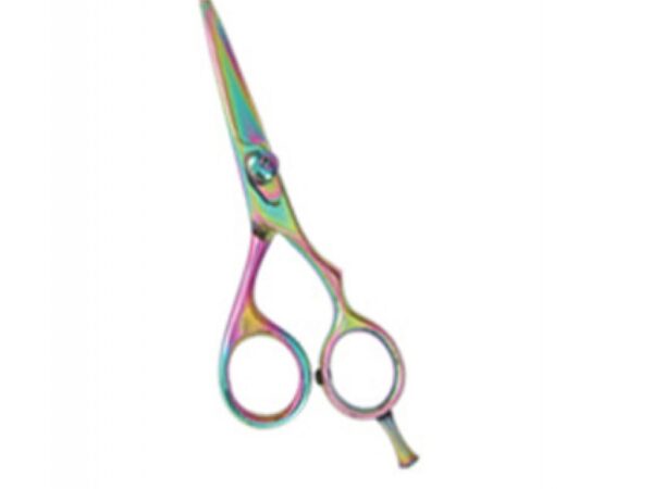 Professional Hair Cutting Scissors (0104)