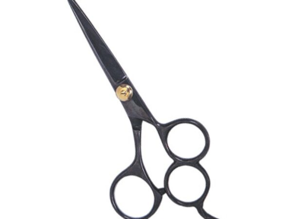 Professional Hair Cutting Scissors (0105)