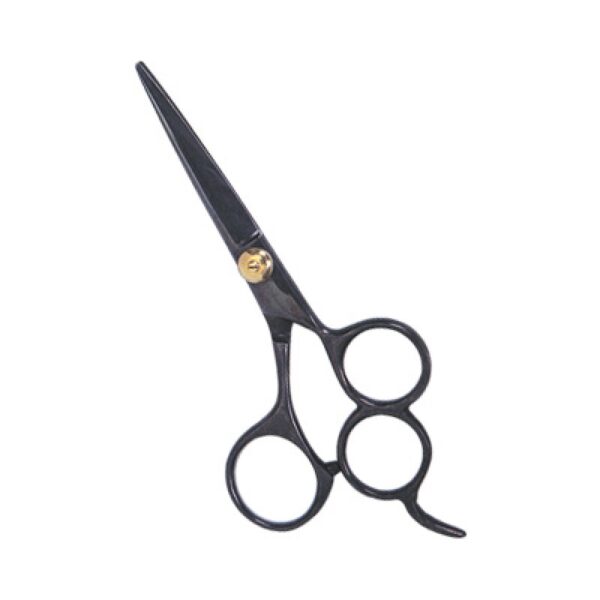 Professional Hair Cutting Scissors (0105)