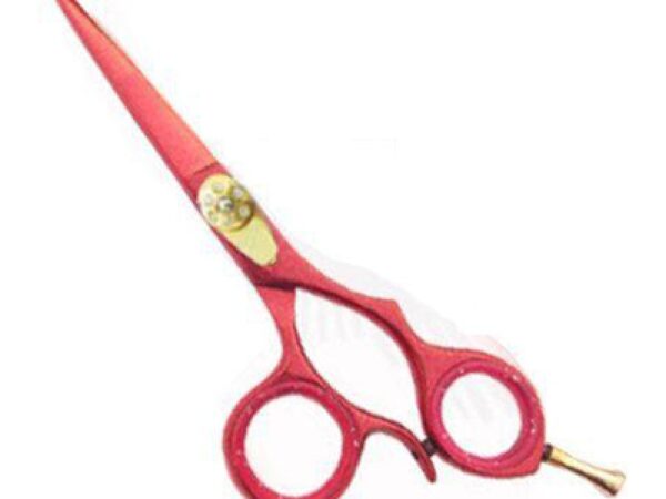 Professional Hair Cutting Scissor (2560)