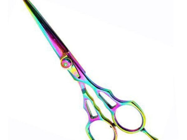 Professional Hair Cutting Scissor (2570)