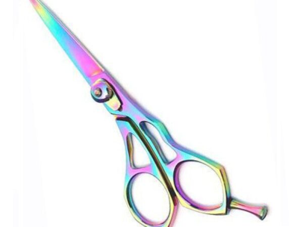 Professional Hair Cutting Scissor (2573)