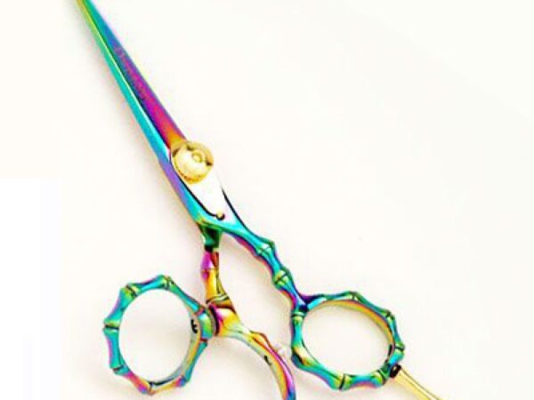 Professional Hair Cutting Scissor (2574)